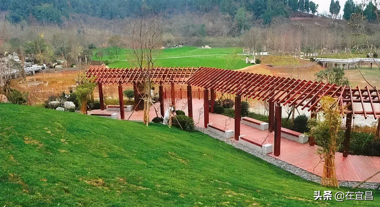 牛!这样的伍家岗,你怎能不爱