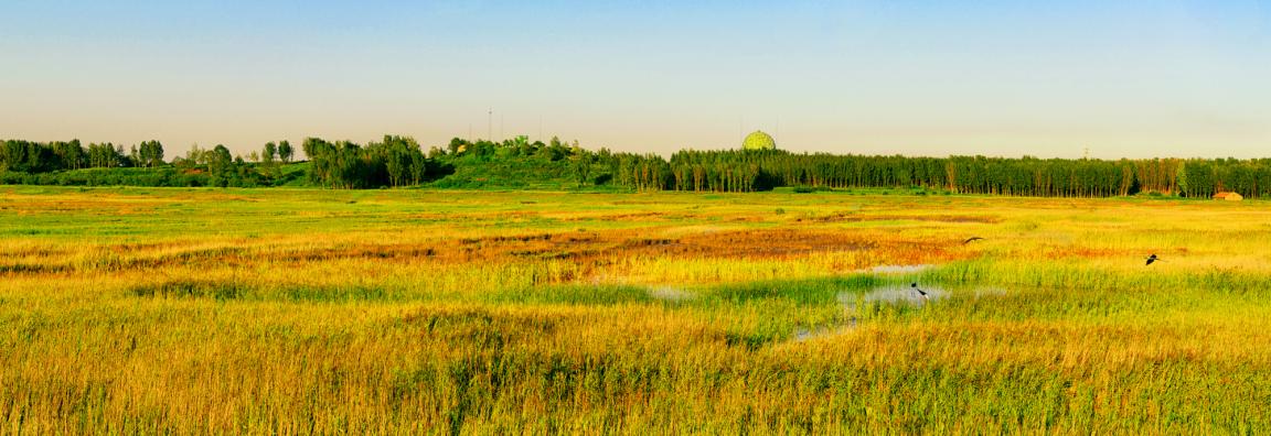沧州旅游攻略详解,沧州旅发大会游玩攻略