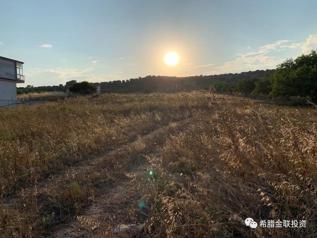 希腊农地价格,希腊土地多少钱一亩