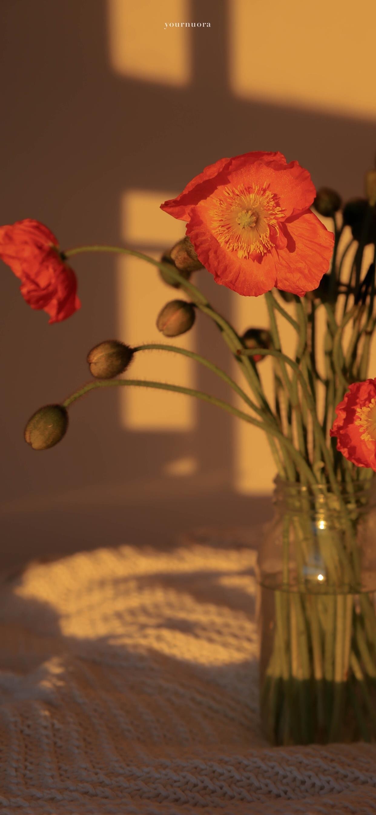 曲面立体感壁纸高清全面屏无水印,变形金刚高清壁纸4k超清全面屏