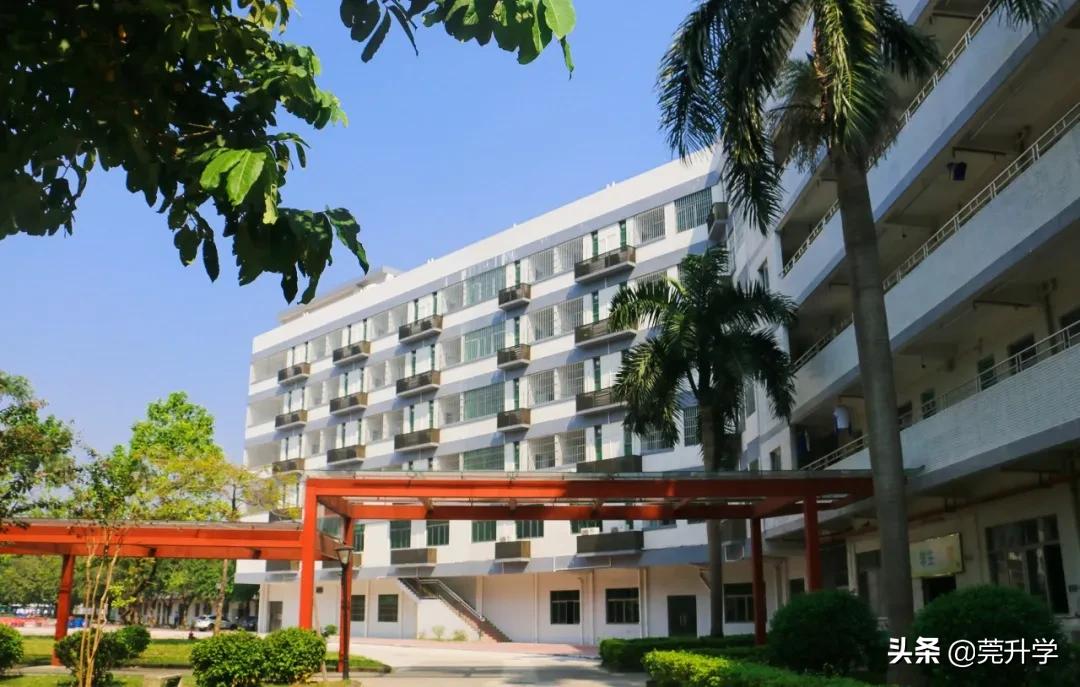 东华松山湖高级中学多少分录取,东华松山湖高级中学2023招生简章