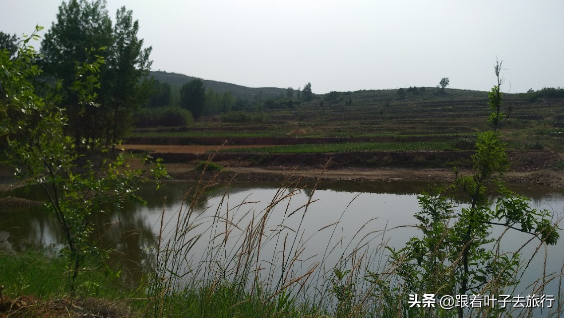 莒县各乡镇地图高清版大图,莒州网