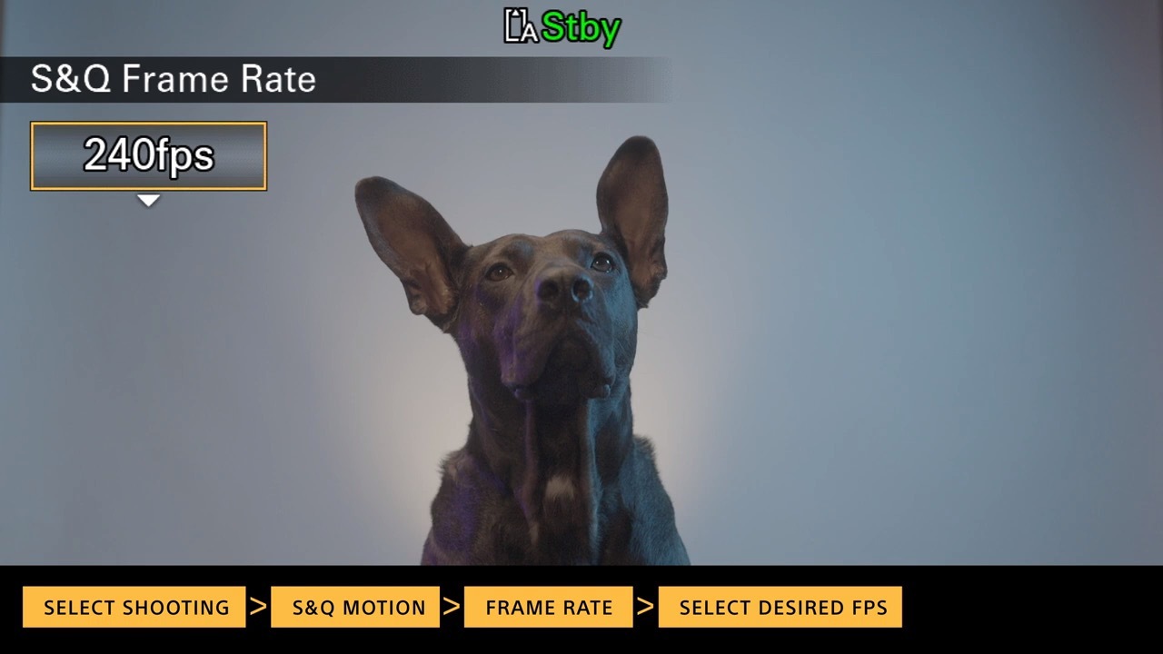 索尼fx6预拍摄,索尼fx6定焦画质