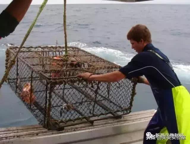 黑帮里面的钱和武器,黑帮用的东西是什么