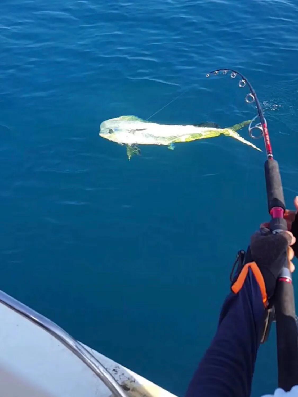 海钓鱼知识,有关海钓的基本常识