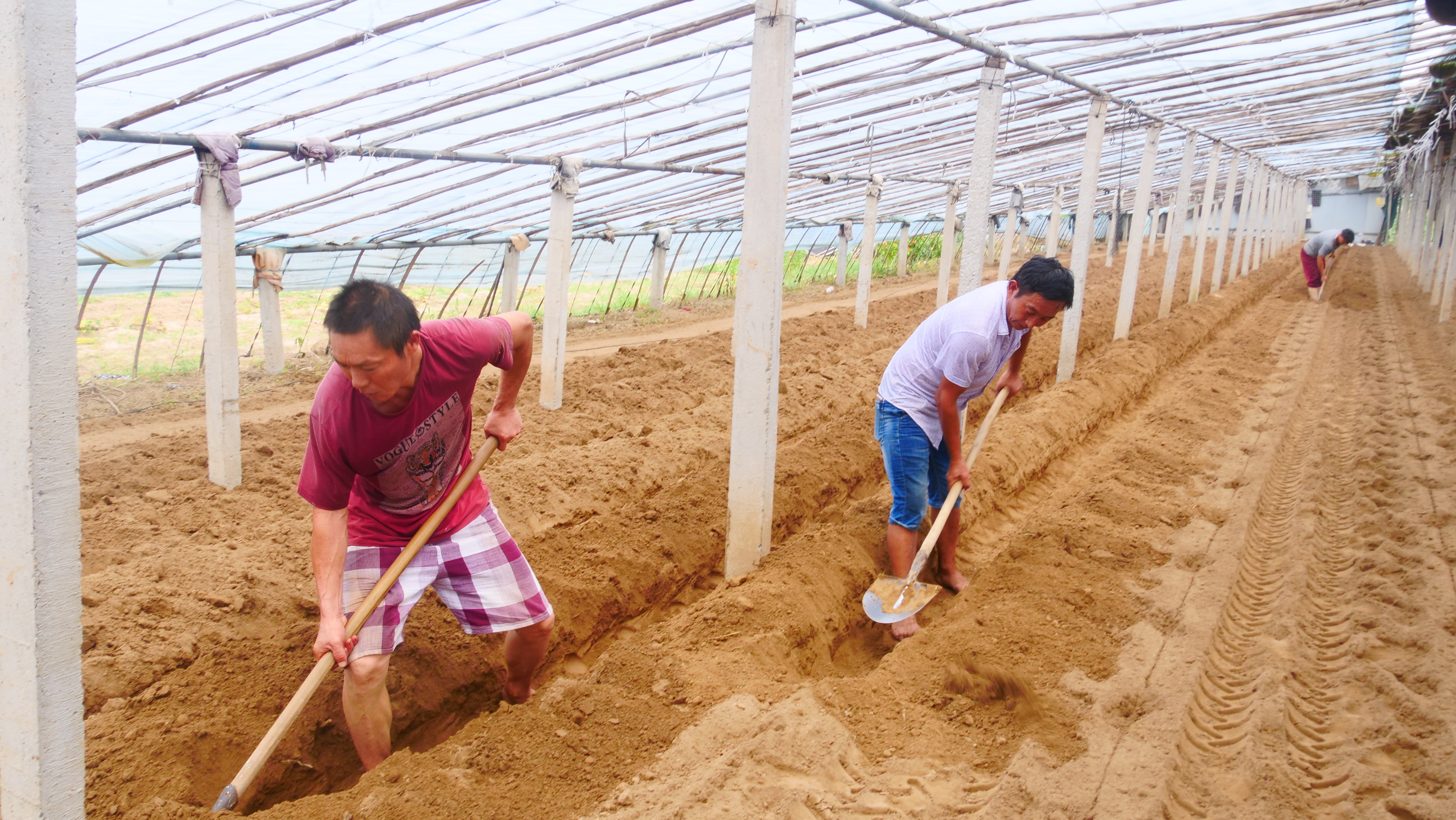饼肥如何使用效果最好,十种不良的坏习惯