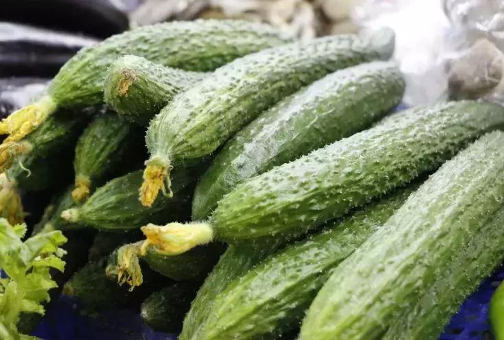 合肥疫情下的菜价行情,合肥蔬菜涨价原因