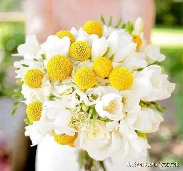 折花逢驿使寄与陇头人的意思,折花逢驿使寄与陇头人谁写的