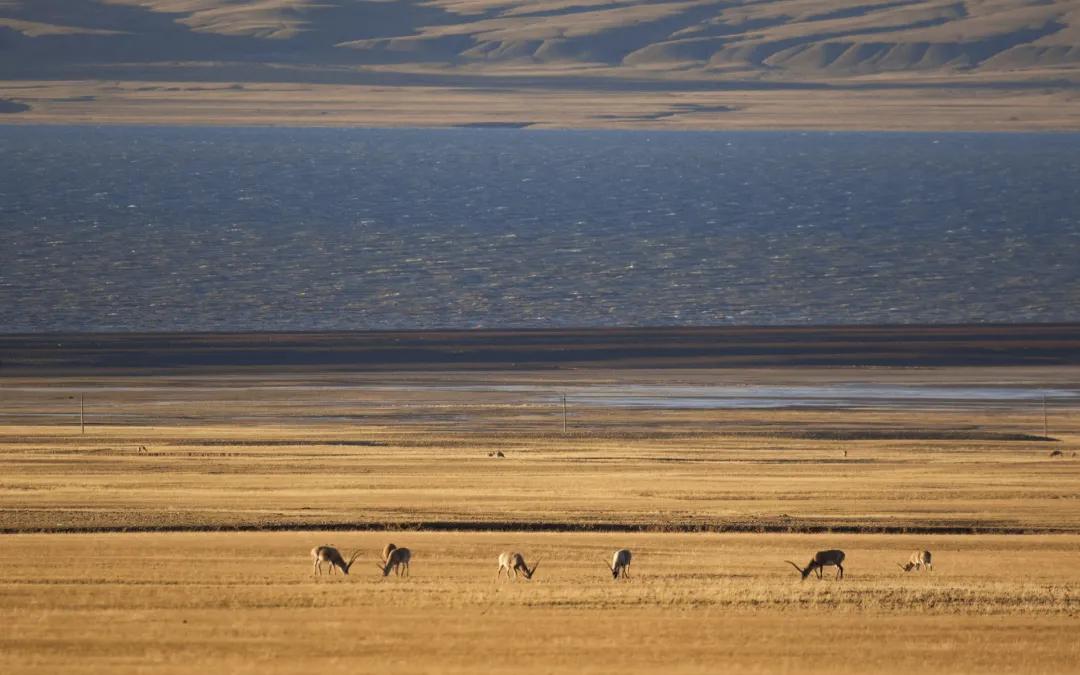 相约西藏高原,相约神秘长白山