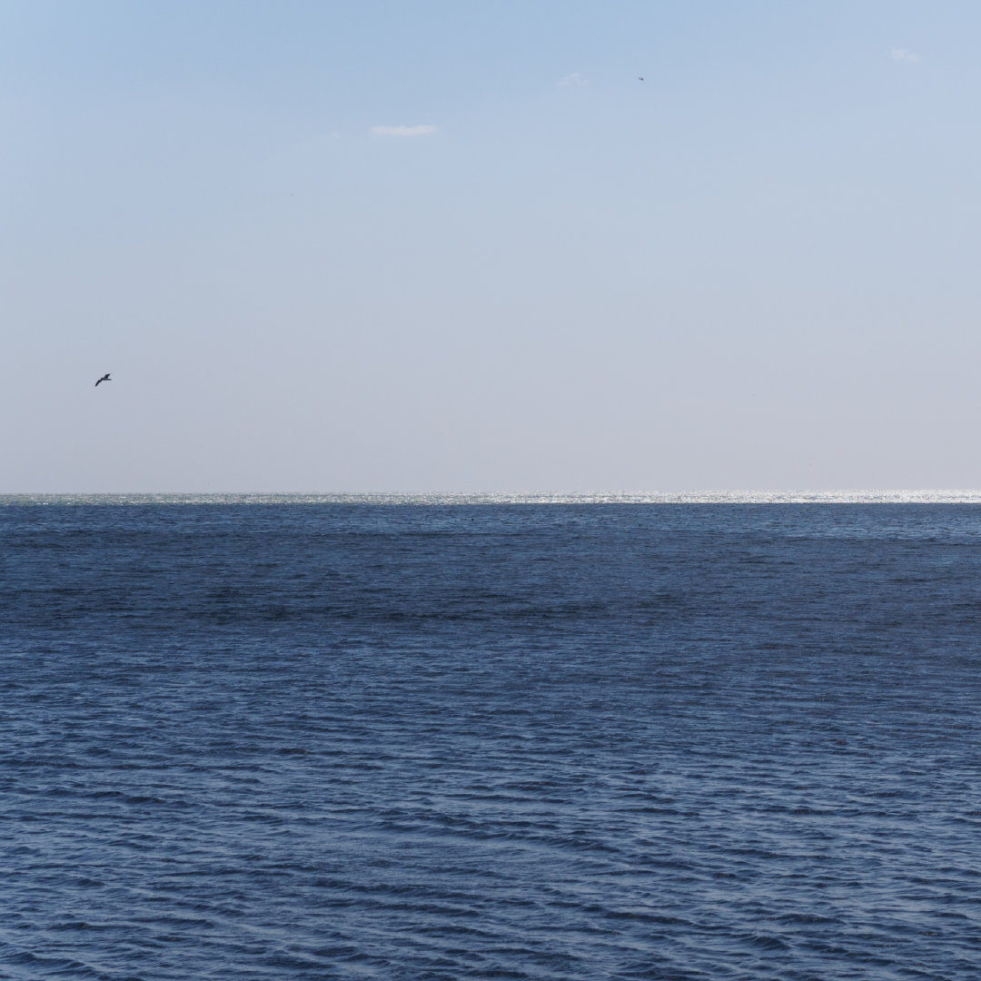 行摄大连丨渔人码头之“海的变奏曲”