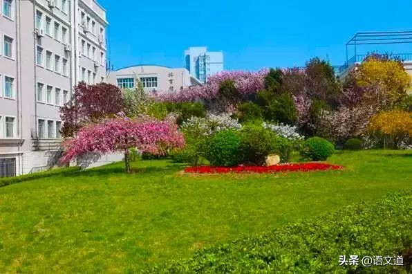 大连最好中学排名,大连前十中学