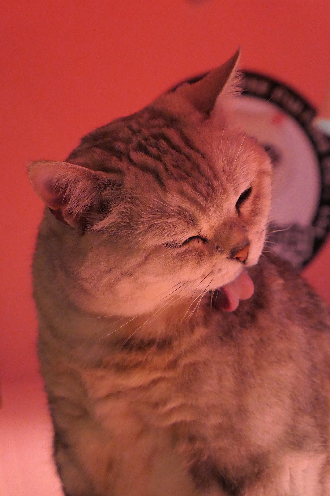 松下街拍视频,松下lx10翻新