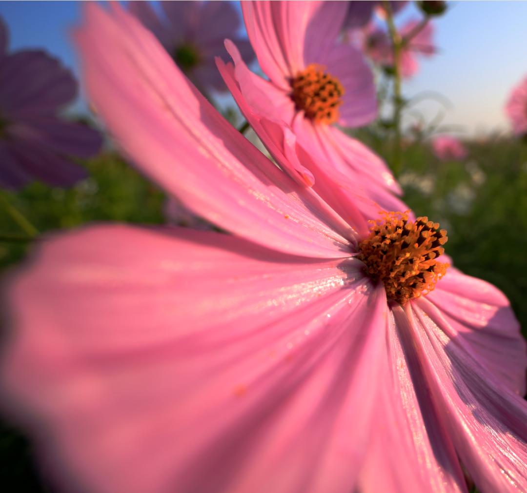 香港第14届全国摄影艺术展,第29届全国摄影艺术展览获奖名单