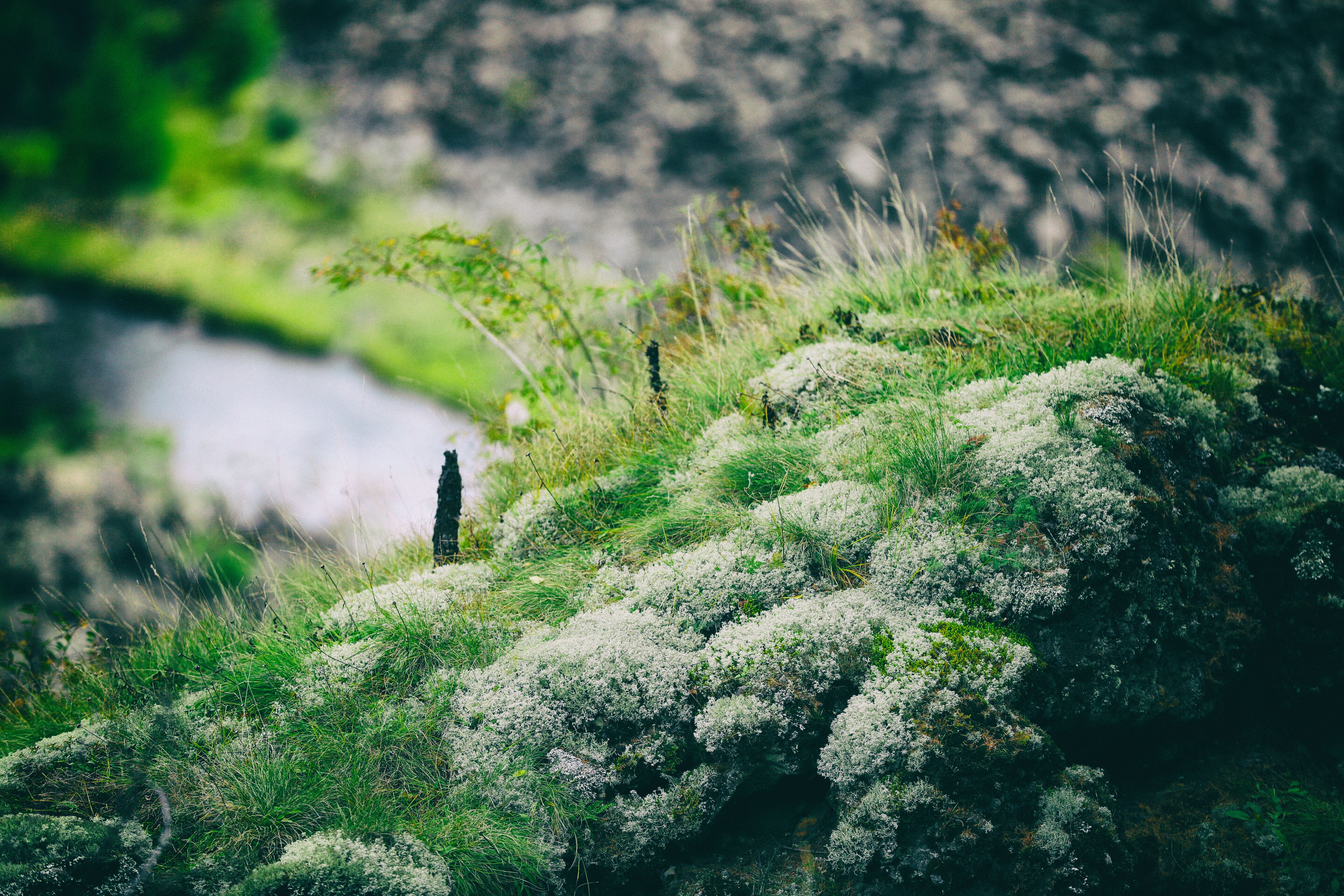 被称为东方瑞士的地方,号称东方瑞士