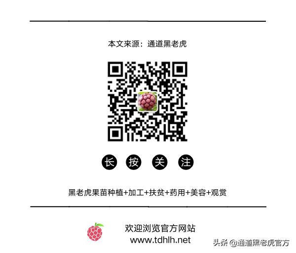 被省委书记惦记的通道小伙,正带村民种山果致富(转载)