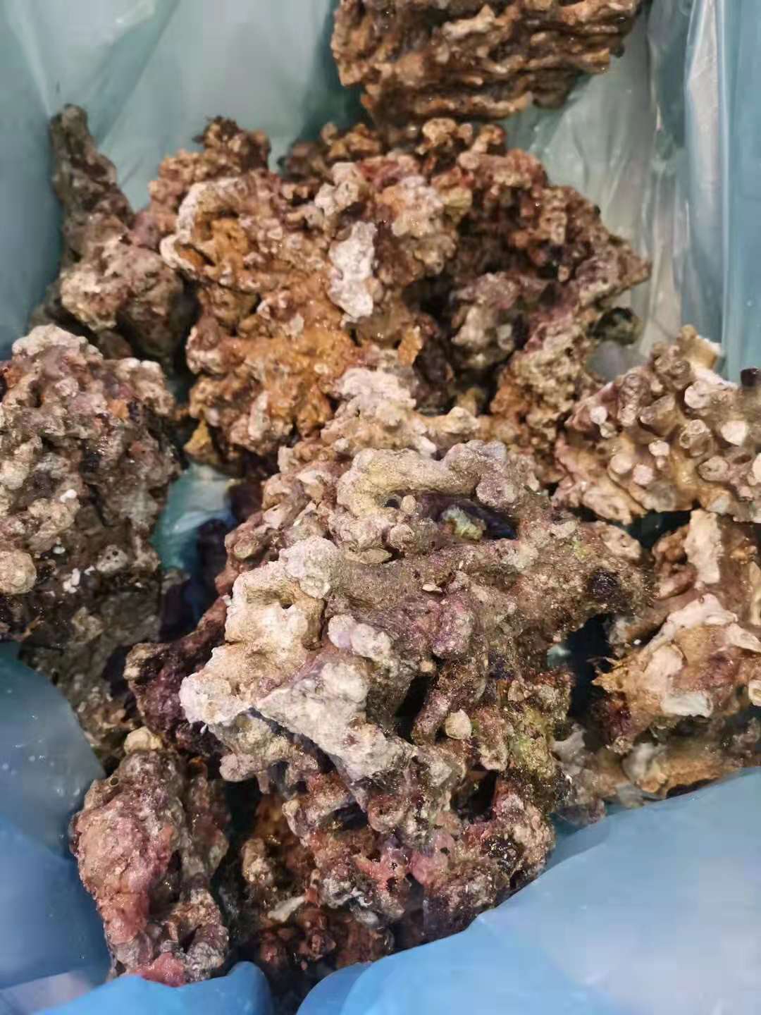 活石的处理,活石处理