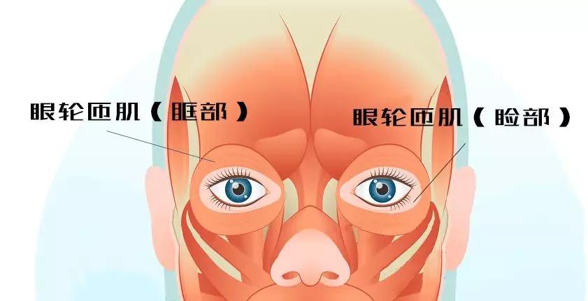 割掉眼袋什么样子,把眼袋割掉泪沟会自己消失吗
