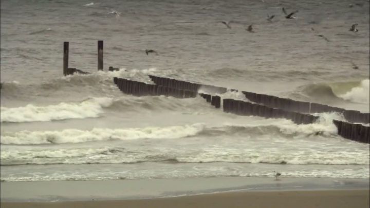 蒙德里安的线条画,蒙德里安逻辑方块技巧