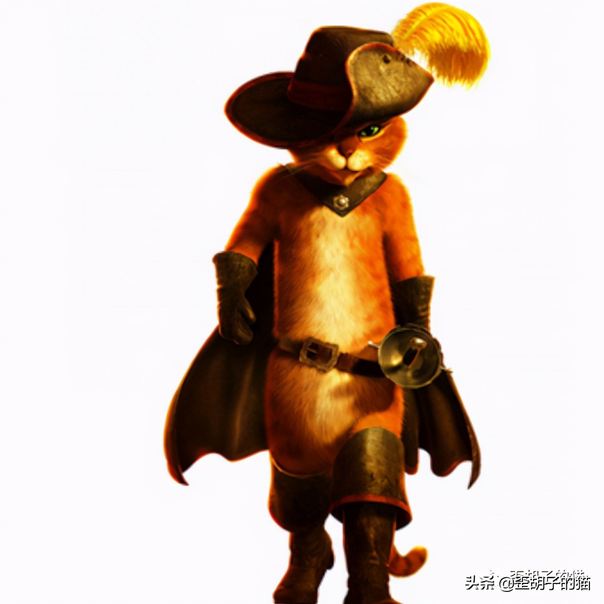 「歪胡子的猫」盘点中美日动漫中的猫咪现实中的样子