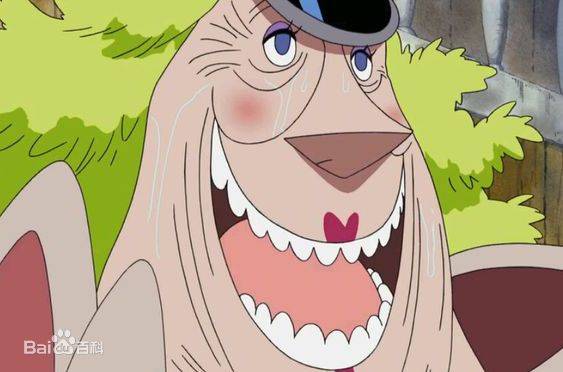 海贼王里十大最漂亮的女性,海贼王女性角色介绍大全