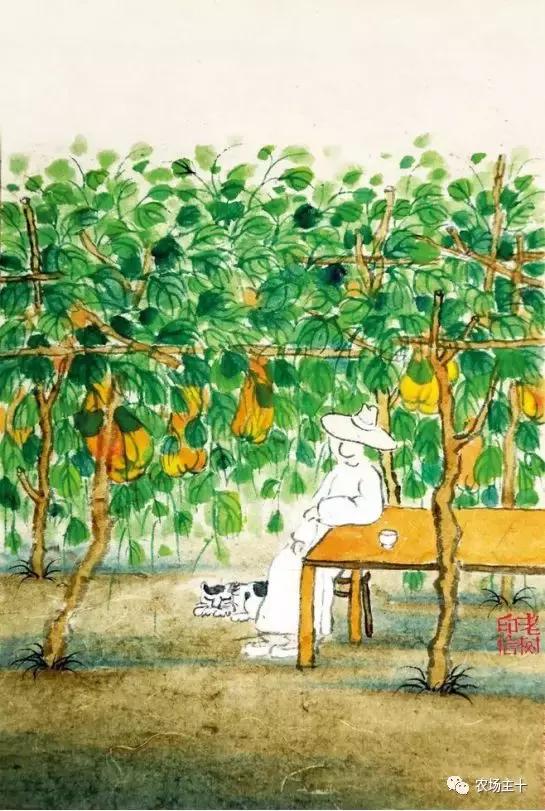 冬天院子里种什么,院子里种什么最好看