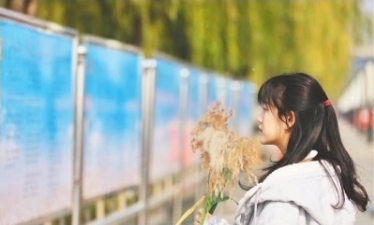 武汉江滩芦花诗会暨第十届芦花节公布获奖诗歌