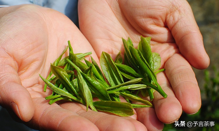 安徽茶产业发展问题,安徽茶发展趋势