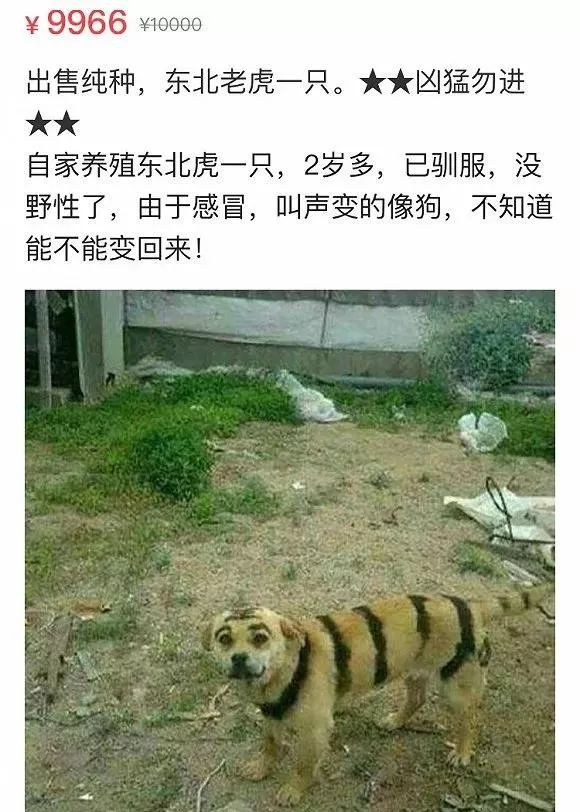 二手影视网站,二手网站在哪里