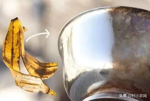 吃完了香蕉皮要不要扔掉,吃完香蕉再吃枣子会怎么样