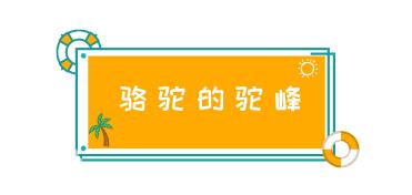 驼峰储水？童话里都是骗人的