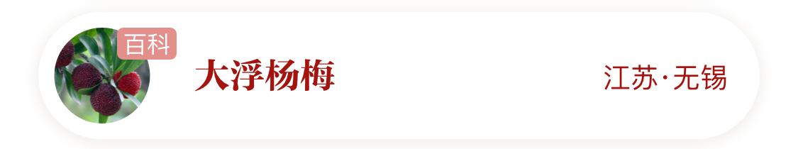 国家地理标志产品仙居杨梅,杨梅地理