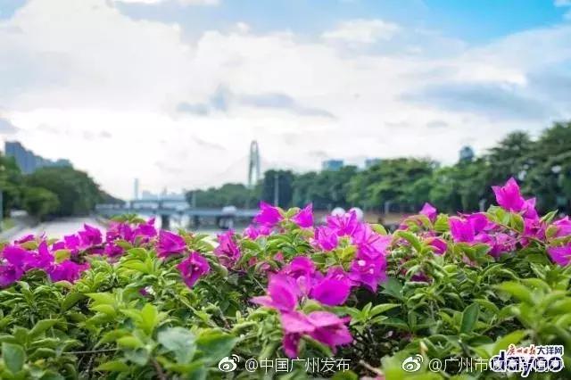 广州踏青好去处地铁附近,广州周边地铁一日游最佳路线