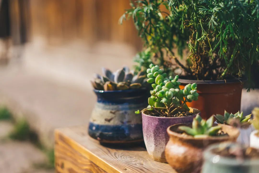 名人经典语录90句值得收藏,100句值得收藏的名人经典语录推荐