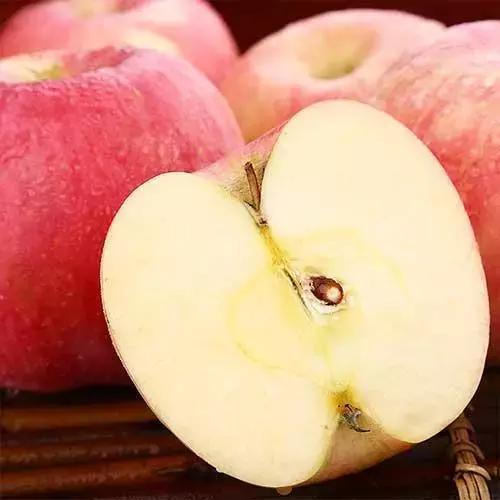 今年苹果为何这样难卖,苹果从开始到现在降价了吗