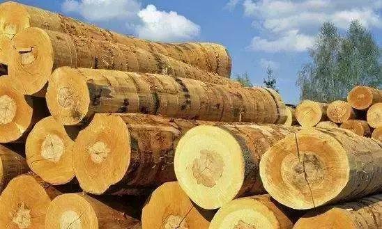 中国木材进口哪里比较多,进口木材从哪里来
