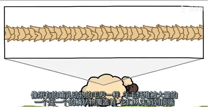 绵羊毛衣缩水严重加醋快速恢复,绵羊毛呢大衣缩水怎么恢复原状