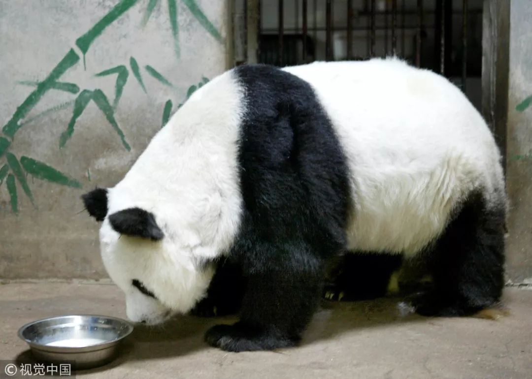 被捧上天的保健品,小心这4种常见保健品不要吃了