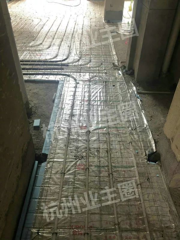 绿都什么意思,绿都包括哪些绿