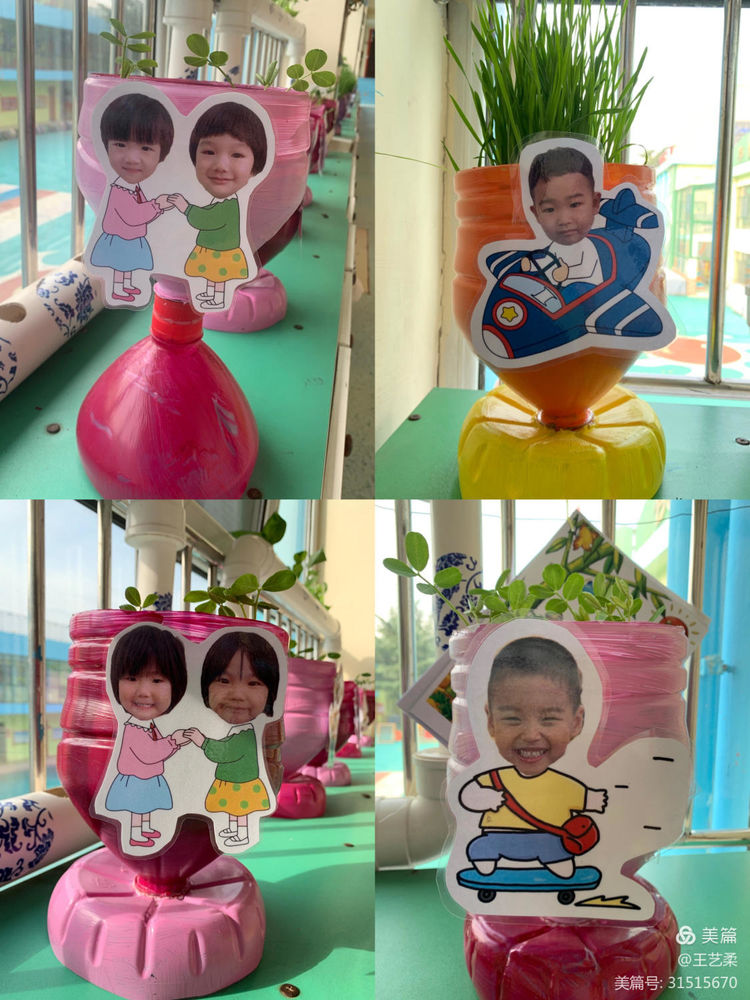 小角落大自然介绍,幼儿园大自然的奥秘主题墙创设