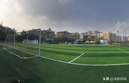 成都公共球场,成都公共体育场馆