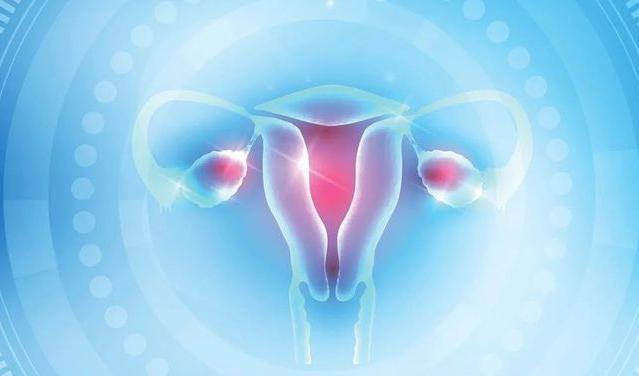 修复女性卵巢功能用哪种干细胞,卵巢有修复能力吗