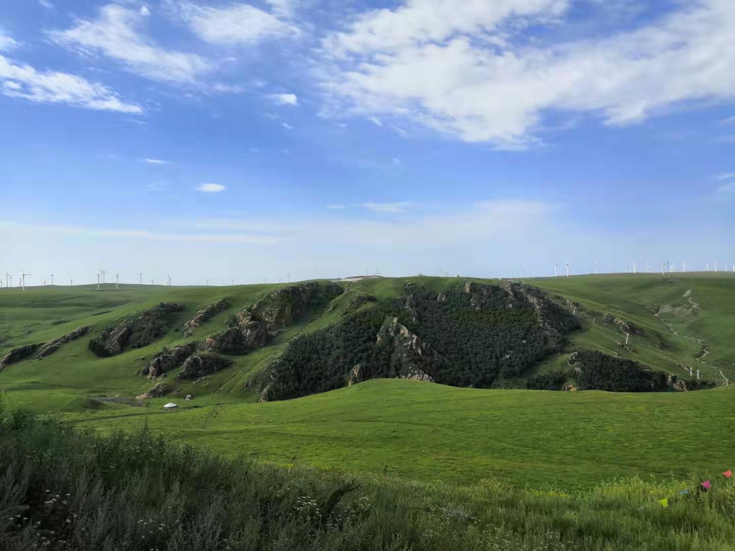 内蒙黄花沟草原游记,黄花沟草原介绍
