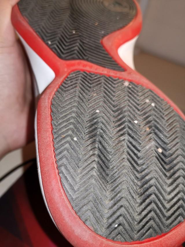 罗斯玫瑰战靴,玫瑰十年