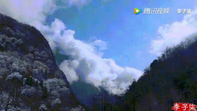 看了李子柒的视频的感受,看完李子柒后的感受