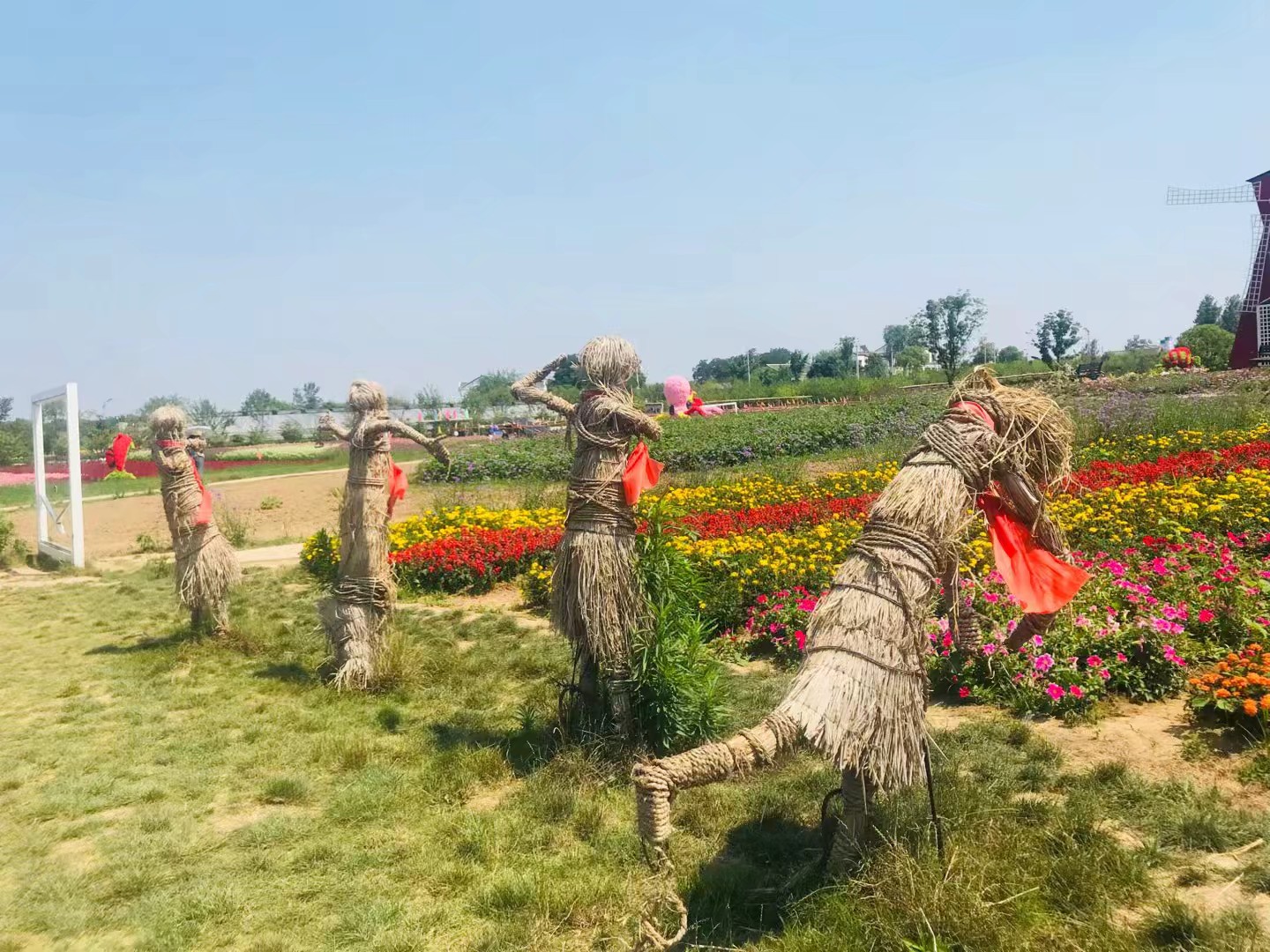 同心花海风景区,春光无限好旅游观光