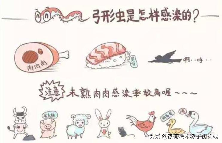 如何对付怀孕母猫,如何化解老婆和家人矛盾