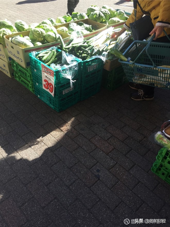 日本经济萧条下的房价,日本哪里的房价坚挺