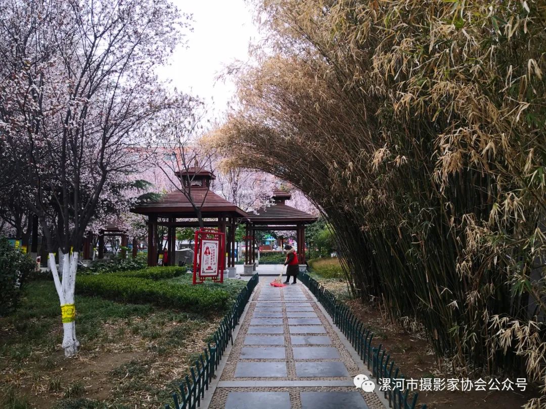 抗击新冠疫情专题展,抗击疫情专题展开展