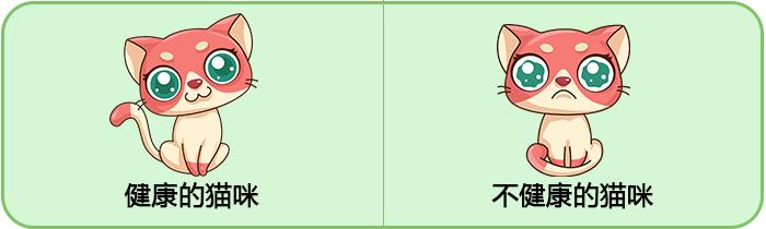 你的猫咪幸福吗,你的猫咪是怎样的