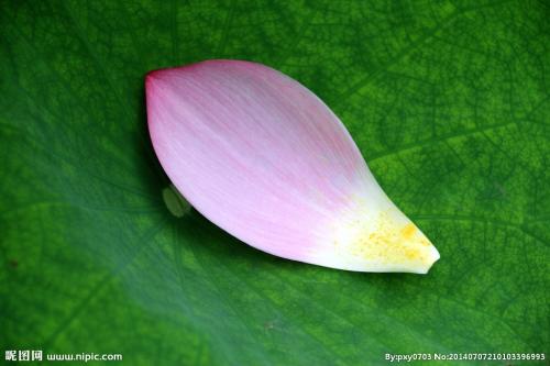 幼儿启蒙教育佩奇,孩子第一天去幼儿园怎么样